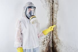 Best Mold Damage Restoration  in Havelock, NC